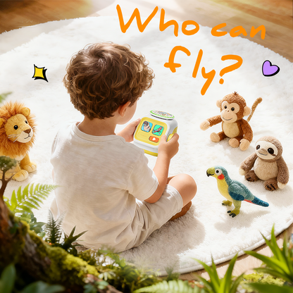 Seedpace Interactive Player - Interactive Set